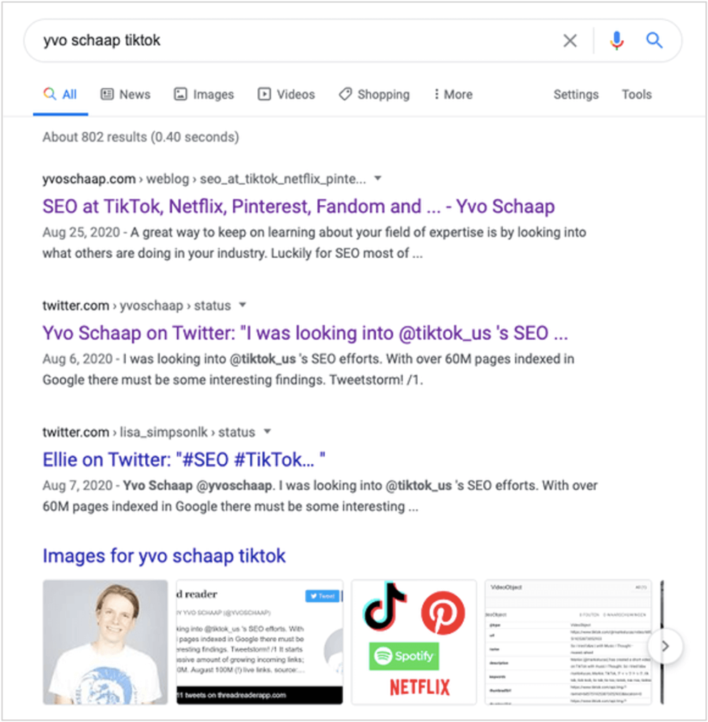screenshot of google search for yvo schaap tiktok