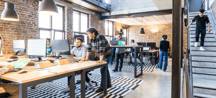 seo guide for startups