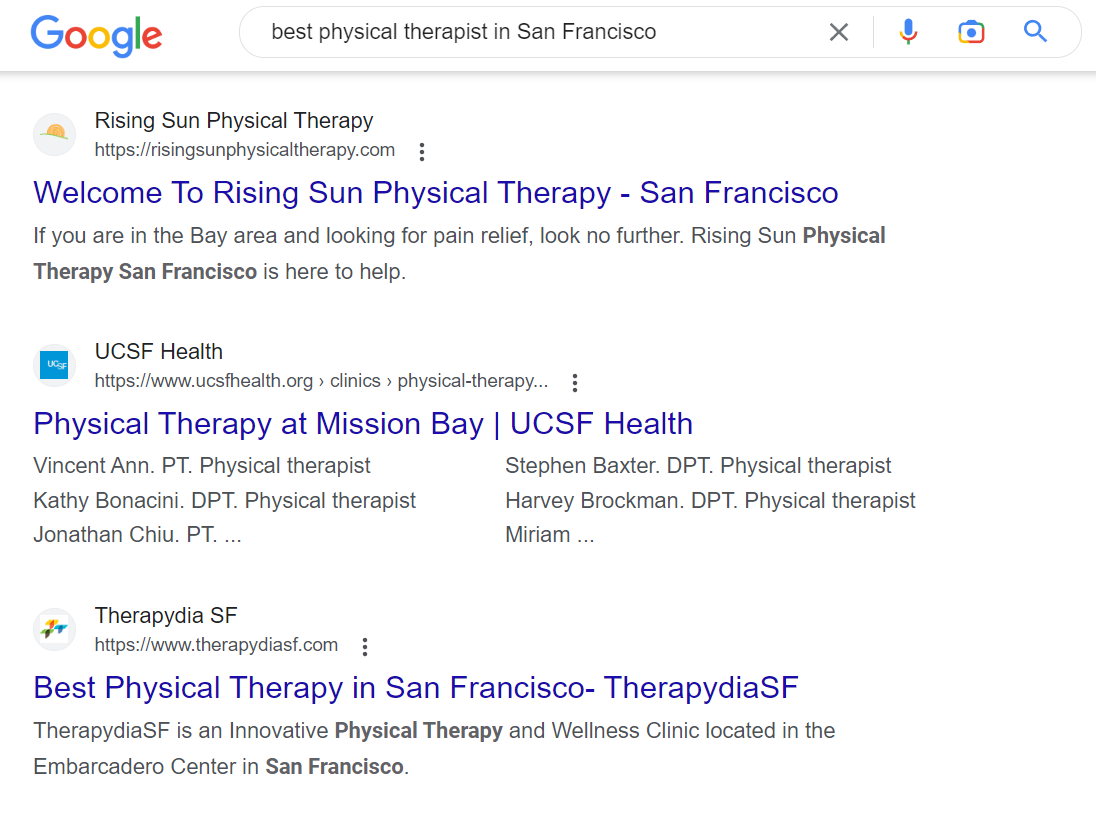 example of SEO search for best physical therapist in san francisco